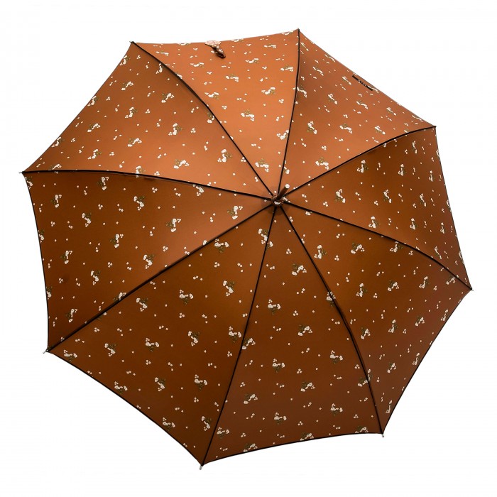 SKĖTIS CL-4875/01 - Image 2